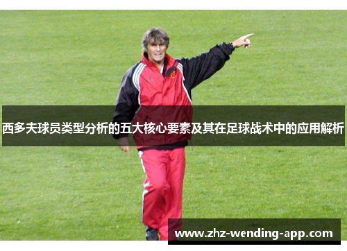 西多夫球员类型分析的五大核心要素及其在足球战术中的应用解析 西多夫球员类型分析的五大核心要素及其在足球战术中的应用解析