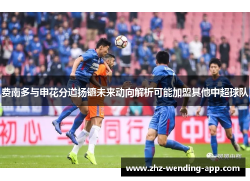 费南多与申花分道扬镳未来动向解析可能加盟其他中超球队 费南多与申花分道扬镳未来动向解析可能加盟其他中超球队
