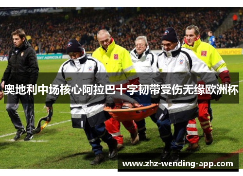 奥地利中场核心阿拉巴十字韧带受伤无缘欧洲杯